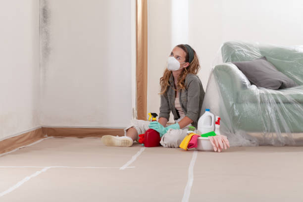 Reliable Mold Cleanup contractor in Paris, VA by Cheap Mold Removal